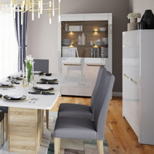 Załaduj obraz do przeglądarki galerii, Nowoczesny 2-drzwiowy kredens - ICE | laminowana płyta meblowa