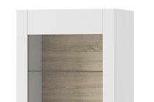 Załaduj obraz do przeglądarki galerii, EASTWOODS |  Modern 1 Door Display Unit R/L  - ICE Collection! | 2020 - EASTWOODS