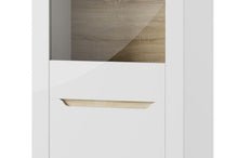 Załaduj obraz do przeglądarki galerii, EASTWOODS |  Modern 1 Door Display Unit R/L  - ICE Collection! | 2020 - EASTWOODS
