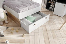 Załaduj obraz do przeglądarki galerii, EASTWOODS | Modern Bed- RIVA Collection! | 2020 - EASTWOODS