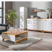 Load image into Gallery viewer, One Door Cabinet - SVEN | laminated chipboard