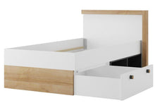 Load image into Gallery viewer, EASTWOODS | Modern Bed- RIVA Collection! | 2020 - EASTWOODS