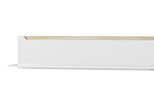 Load image into Gallery viewer, EASTWOODS |  Modern Hanging Wall Shelf - ICE Collection! | 2020 - EASTWOODS